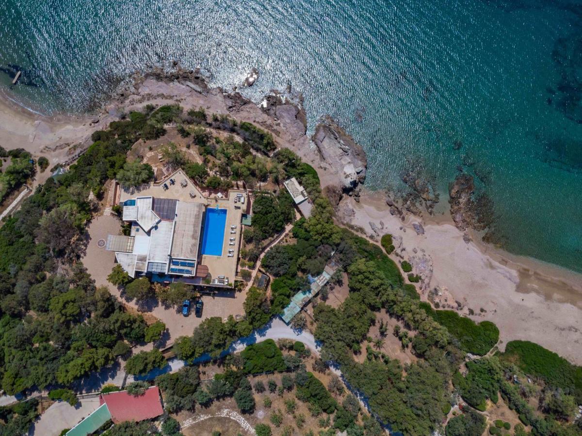 Black Diamond Beachfront Pool Villa Pasithea In Sounio, Athens Sunion Exteriör bild