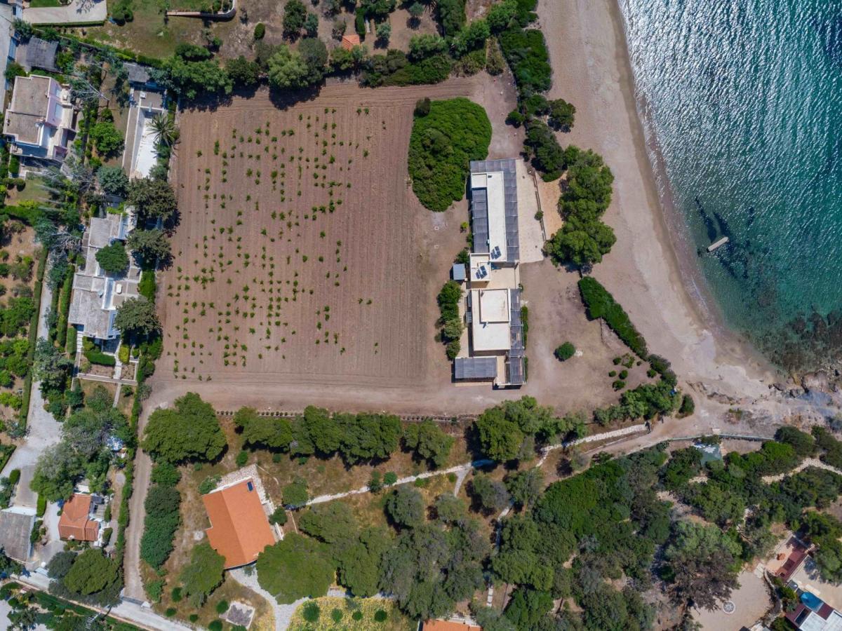 Black Diamond Beachfront Pool Villa Pasithea In Sounio, Athens Sunion Exteriör bild