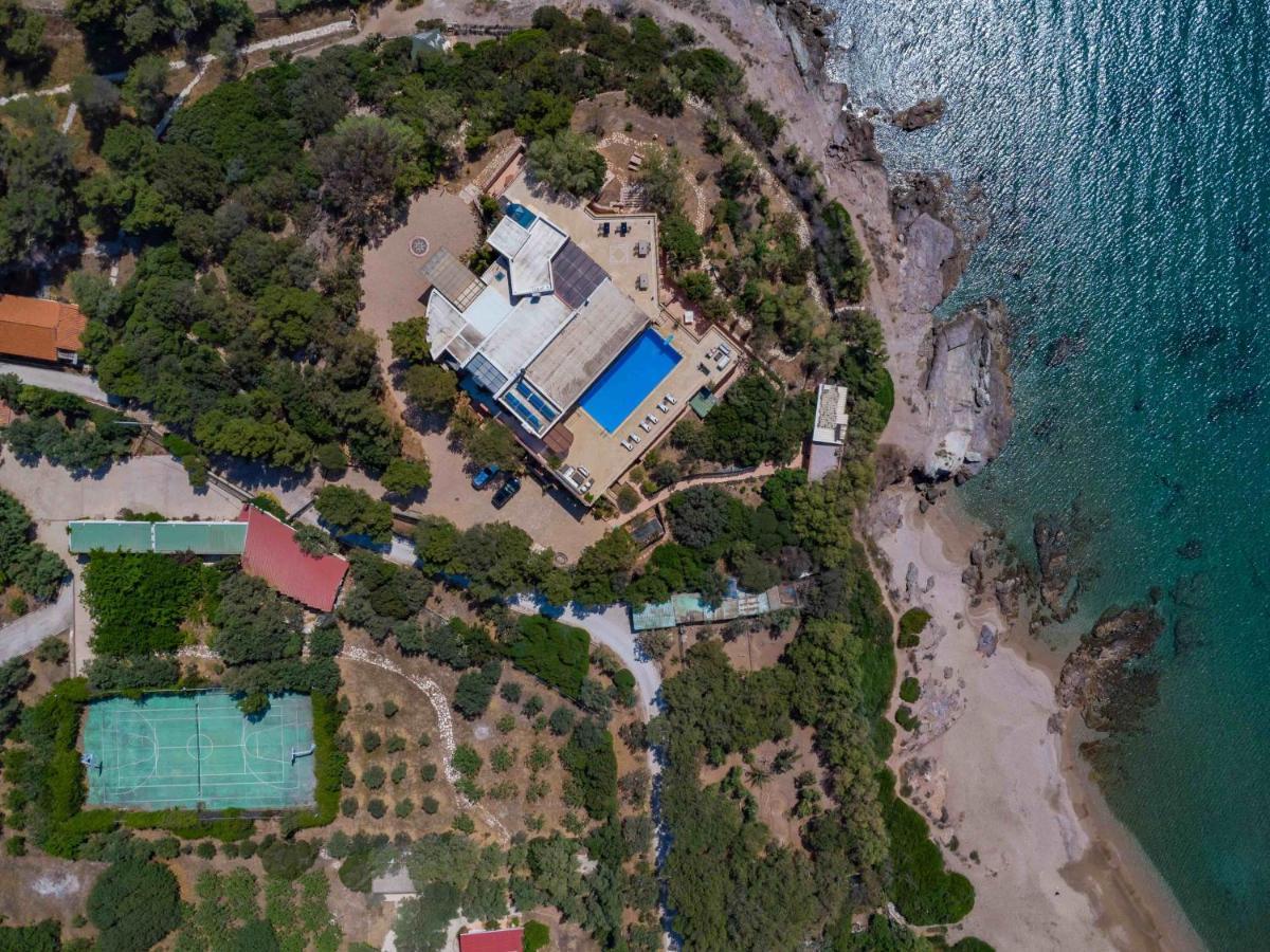Black Diamond Beachfront Pool Villa Pasithea In Sounio, Athens Sunion Exteriör bild