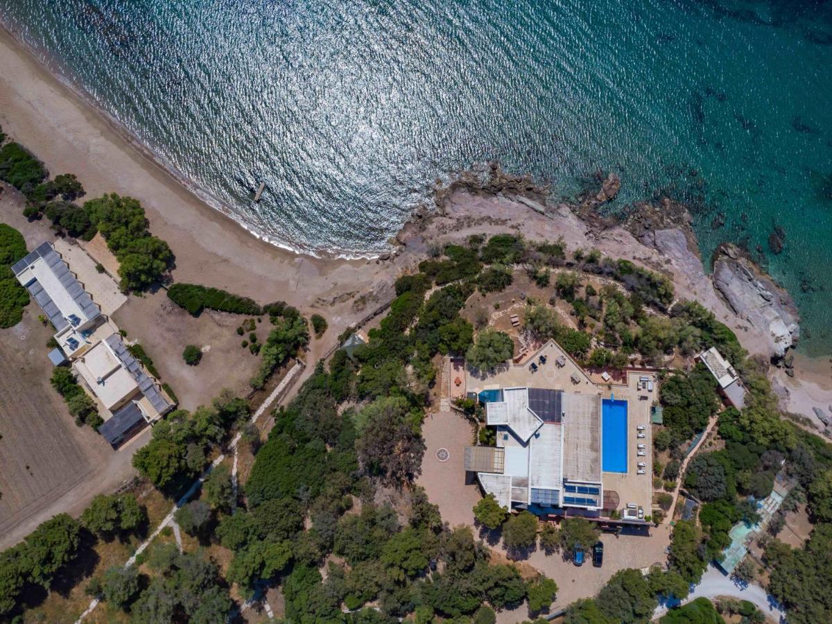 Black Diamond Beachfront Pool Villa Pasithea In Sounio, Athens Sunion Exteriör bild